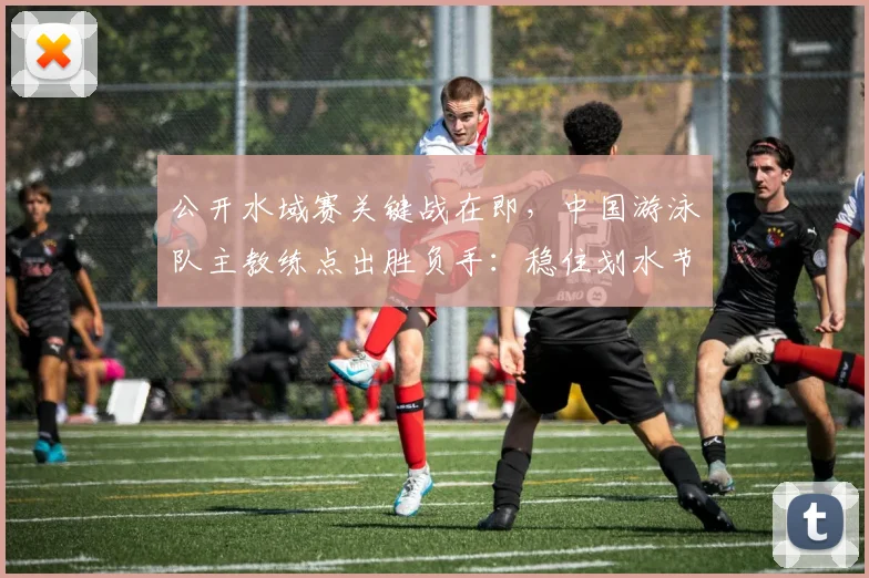 公开水域赛关键战在即，中国游泳队主教练点出胜负手：稳住划水节奏 - 2026世界杯资讯