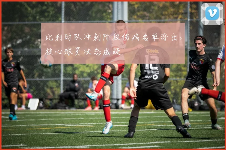 比利时队冲刺阶段伤病名单浮出，核心球员状态成疑 - 2026世界杯推荐