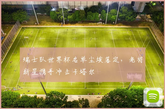 瑞士队世界杯名单尘埃落定，老将新星携手冲击卡塔尔 - 2026世界杯推荐